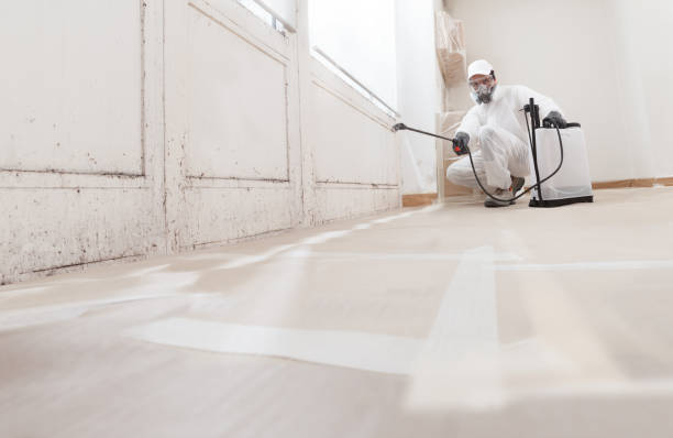 24/7 Emergency Mold Inspection experts in Bluemont, VA