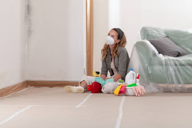 Reliable Mold Inspection contractor in Bluemont, VA by WQB Mold Removal