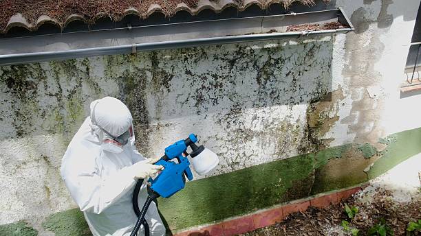 Top rated local Mold Inspection specialists in Bluemont, VA